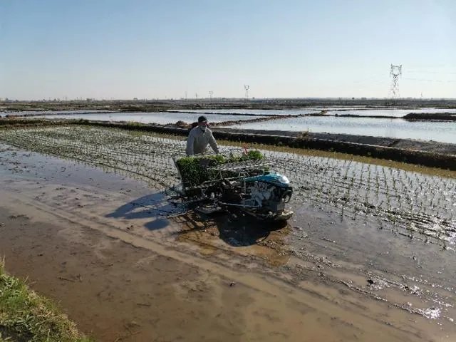 舒兰疫情后,现在农民种地怎么办?