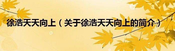 徐浩天天向上（关于徐浩天天向上的简介）