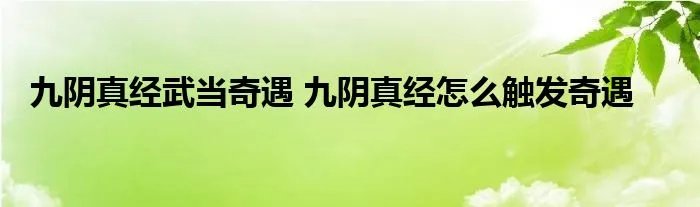 九阴真经武当奇遇 九阴真经怎么触发奇遇