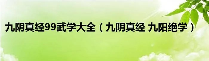 九阴真经99武学大全（九阴真经 九阳绝学）