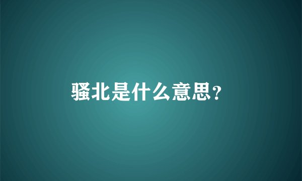 骚北是什么意思？