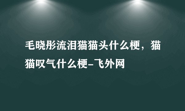 毛晓彤流泪猫猫头什么梗，猫猫叹气什么梗-飞外网