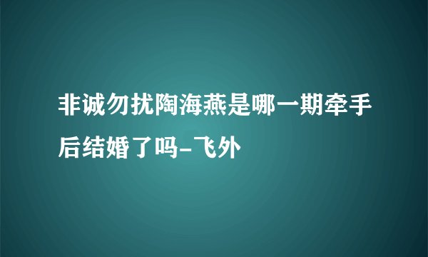 非诚勿扰陶海燕是哪一期牵手后结婚了吗-飞外