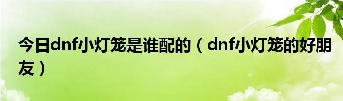 今日dnf小灯笼是谁配的（dnf小灯笼的好朋友）