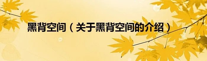 黑背空间（关于黑背空间的介绍）