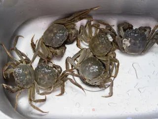 清蒸螃蟹