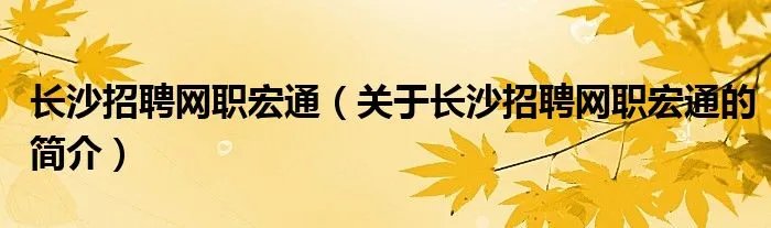 长沙招聘网职宏通（关于长沙招聘网职宏通的简介）