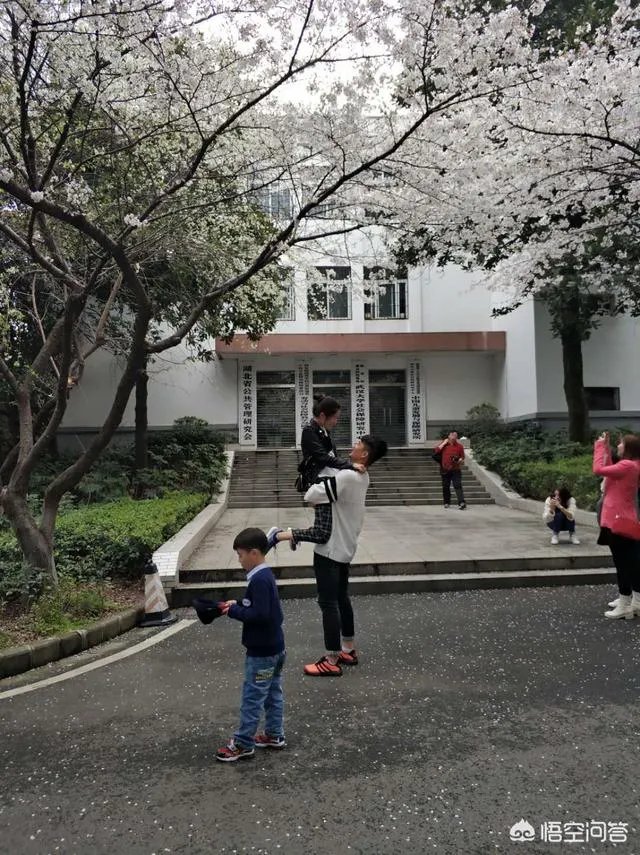 男子武大校园剧烈摇动樱花树,如何有效制止此类行为?