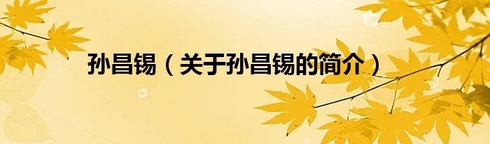 孙昌锡（关于孙昌锡的简介）
