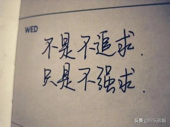 淘宝有哪些值得买的？