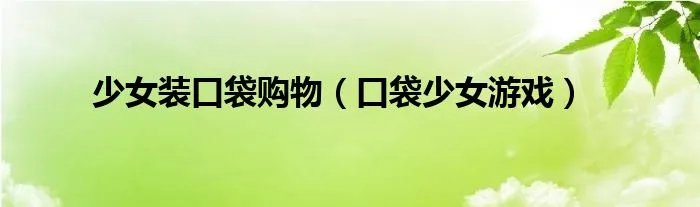 少女装口袋购物（口袋少女游戏）