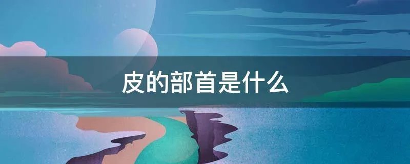皮的部首是什么