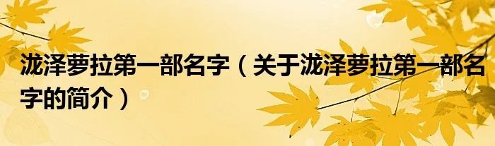 泷泽萝拉第一部名字（关于泷泽萝拉第一部名字的简介）