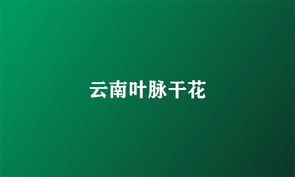 云南叶脉干花
