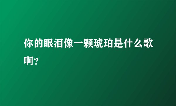 你的眼泪像一颗琥珀是什么歌啊?