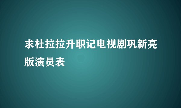 求杜拉拉升职记电视剧巩新亮版演员表