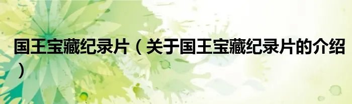 国王宝藏纪录片（关于国王宝藏纪录片的介绍）