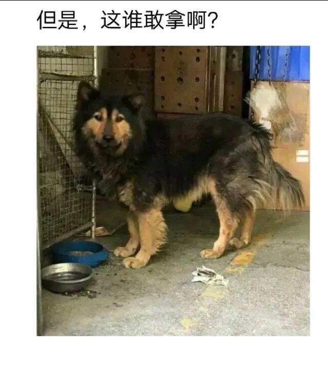 外卖单奇葩留言让外卖小哥哭笑不得，你还收到什么奇葩留言？