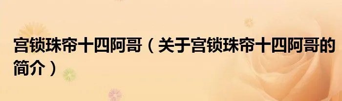 宫锁珠帘十四阿哥（关于宫锁珠帘十四阿哥的简介）
