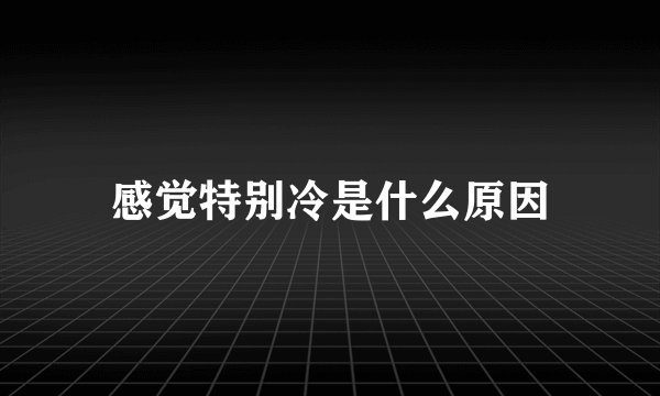 感觉特别冷是什么原因