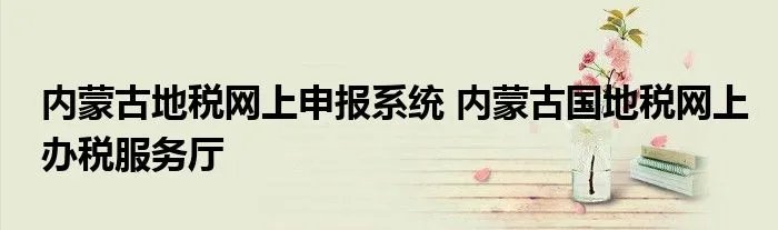 内蒙古地税网上申报系统 内蒙古国地税网上办税服务厅