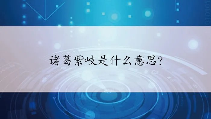 诸葛紫岐是什么意思？