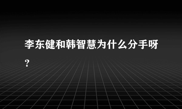 李东健和韩智慧为什么分手呀？