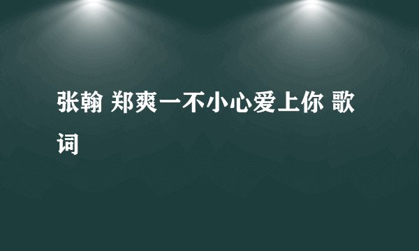 张翰 郑爽一不小心爱上你 歌词