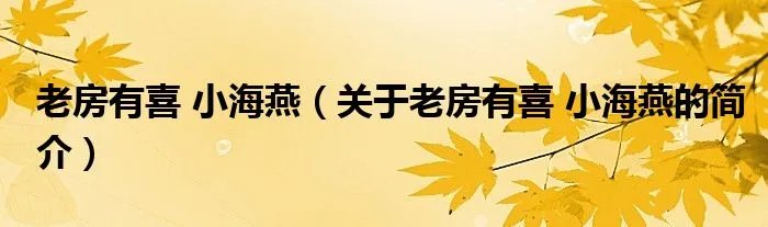 老房有喜 小海燕（关于老房有喜 小海燕的简介）