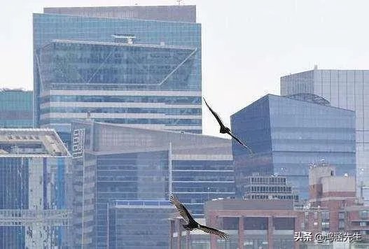 美国被实锤!美疫情提前至12月,死者根本没来过中国,对此你怎么看?