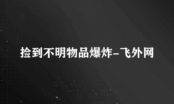 捡到不明物品爆炸-飞外网