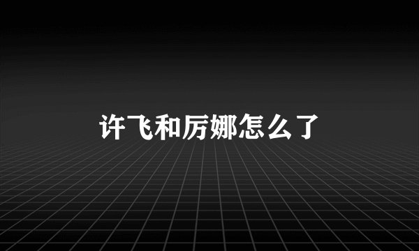 许飞和厉娜怎么了