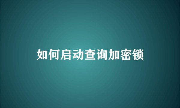 如何启动查询加密锁