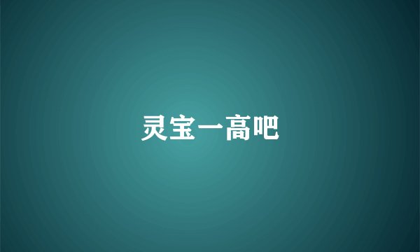 灵宝一高吧