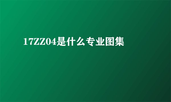 17ZZ04是什么专业图集