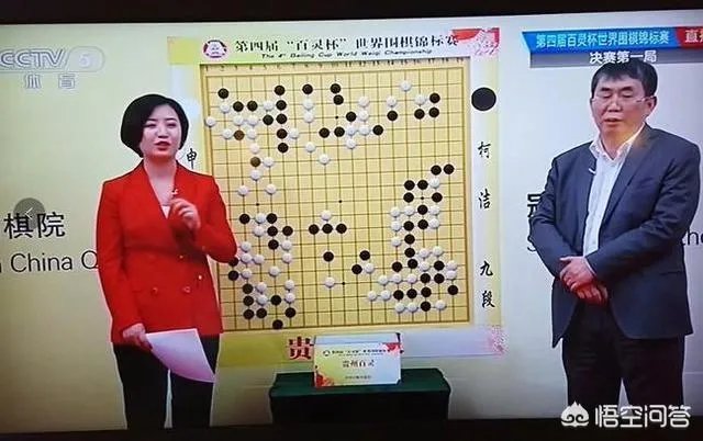 百灵解说
