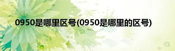 0950是哪里区号(0950是哪里的区号)