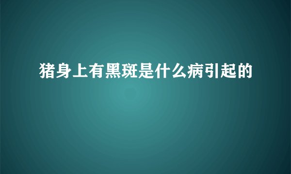 猪身上有黑斑是什么病引起的