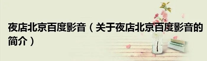 夜店北京百度影音（关于夜店北京百度影音的简介）