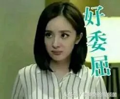 杨幂被赶出机场,大家怎么看?