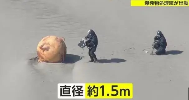 日本海岸发现不明球状物 日本海岸现不明球状物:直径1.5米