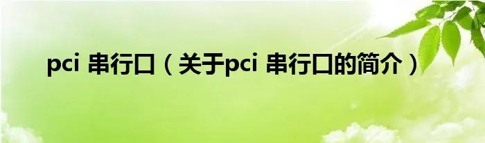 pci 串行口（关于pci 串行口的简介）