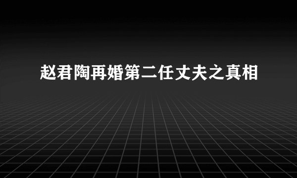赵君陶再婚第二任丈夫之真相