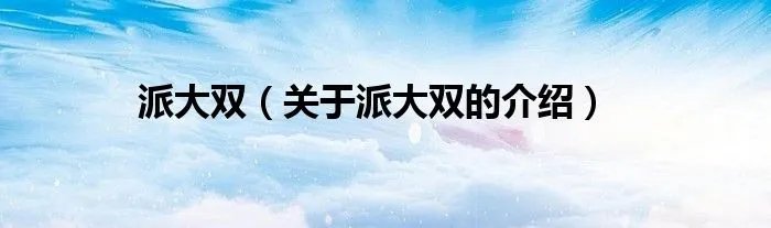 派大双（关于派大双的介绍）