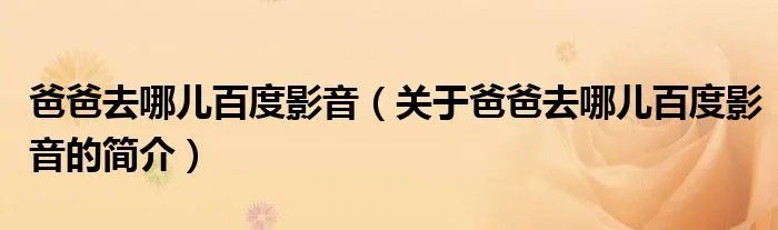 爸爸去哪儿百度影音(关于爸爸去哪儿百度影音的简介)