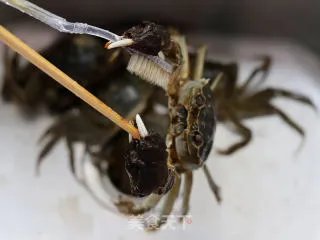 清蒸螃蟹