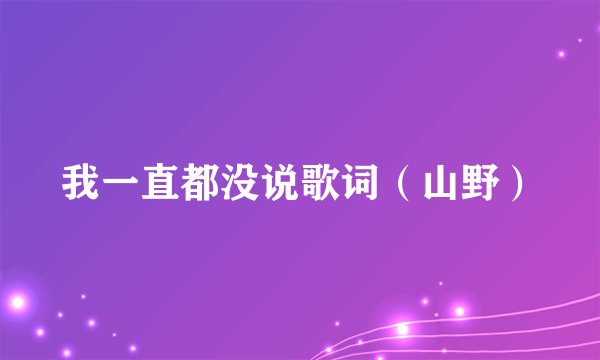 我一直都没说歌词（山野）