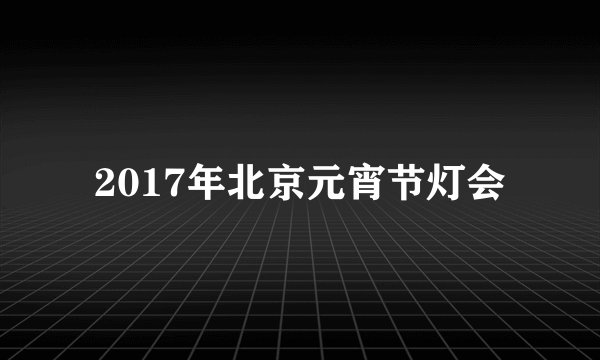 2017年北京元宵节灯会