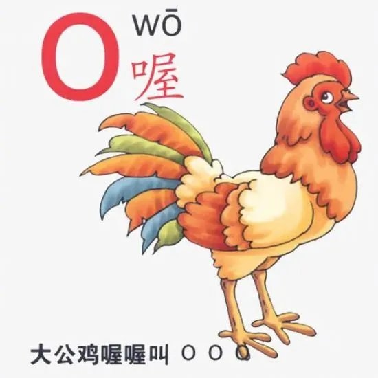 拼音“o”的发音应该念欧？不少网友都懵了