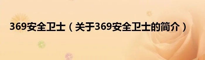 369安全卫士（关于369安全卫士的简介）